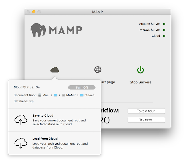 MAMP
