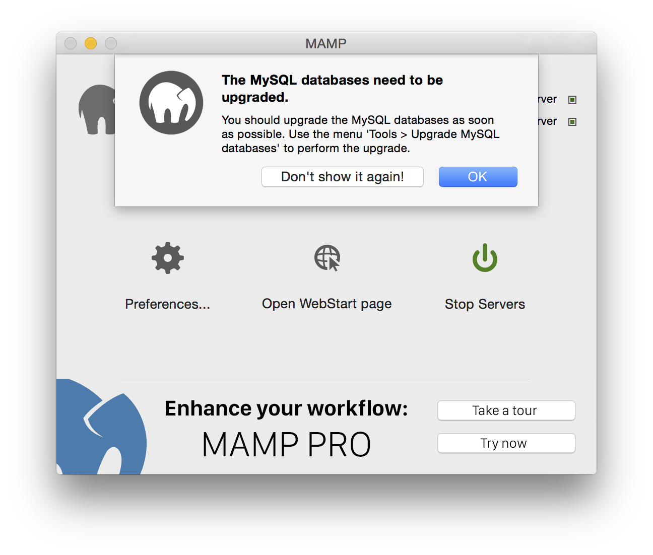 MAMP