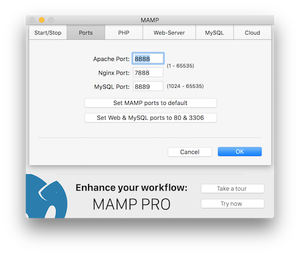 MAMP