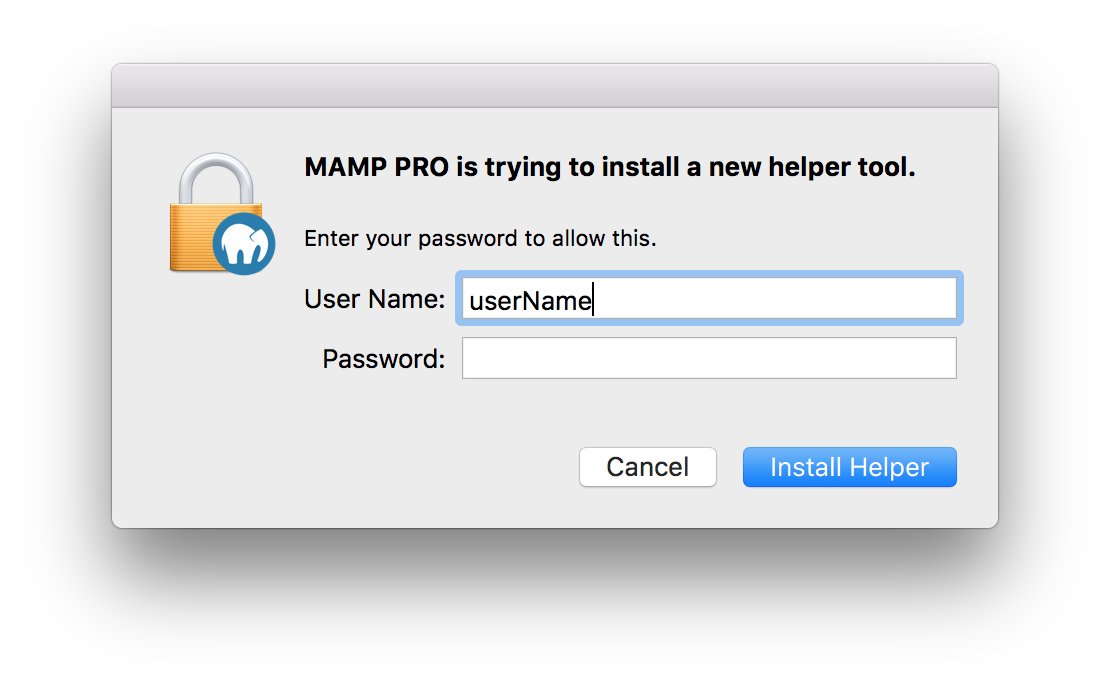 MAMP